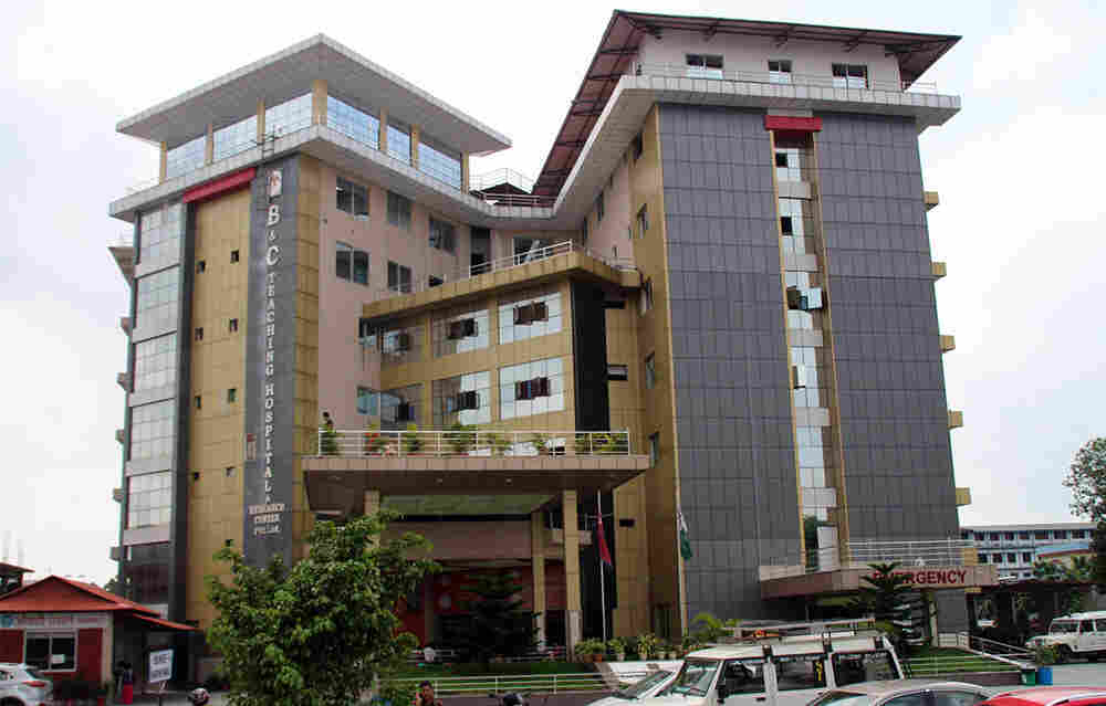 B&C Hospital to commence swine flu treatment in Jhapa from Friday
